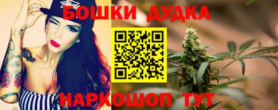 крисы Сланцы