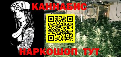 крисы Сланцы